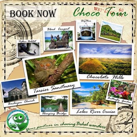 bohol car rentals|VIAJENG BOHOL .